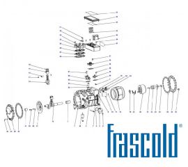 Frascold